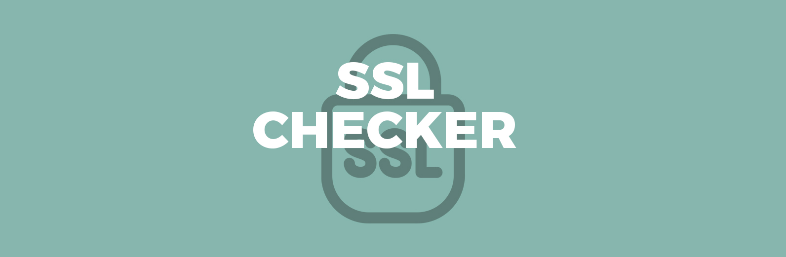 The Importance of Checking SSL Versions: Check SSL Version of Website - Ensure Optimal Security Easily